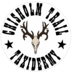 Chisom Trail Taxidermy