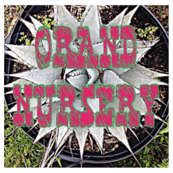 Orand Nursery